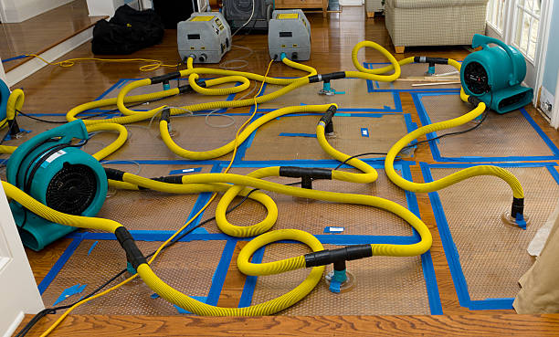 Professional Water Damage Restoration technician working in Townville, PA